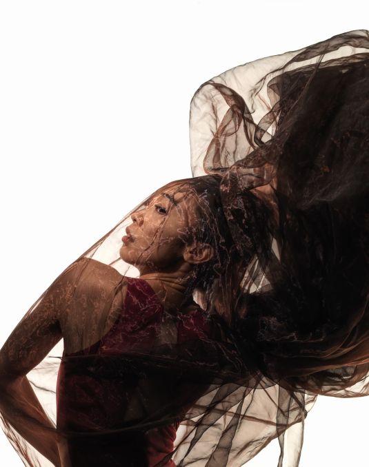 Woman posing with flowing veil.